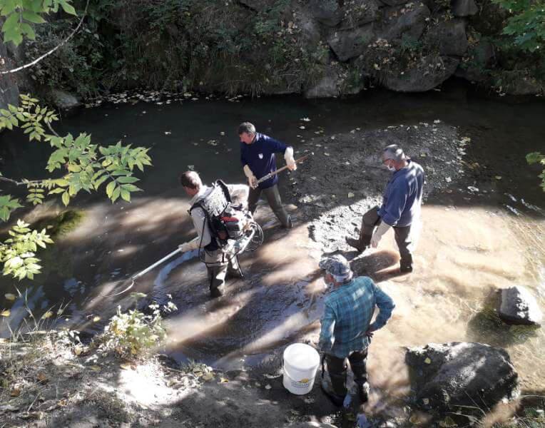 Pêche électrique dans la Petite Arly à Megève