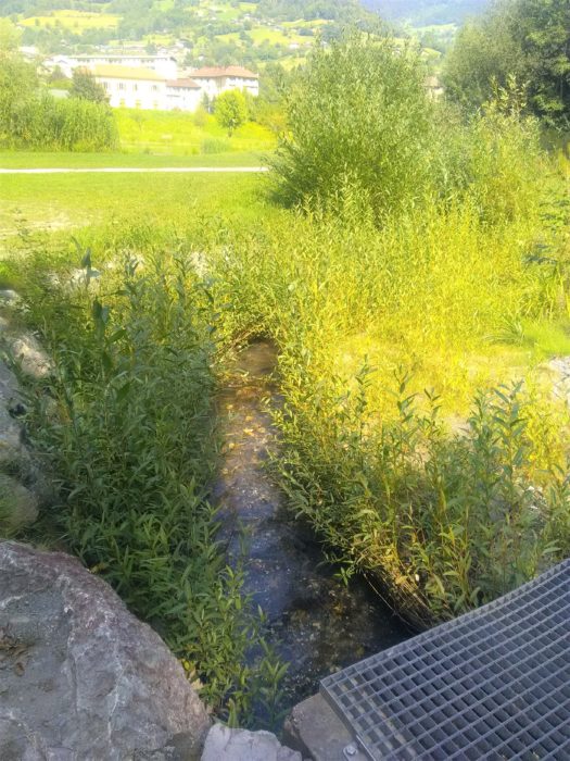 Rivière de contournement du Canal Lallier : un succès !