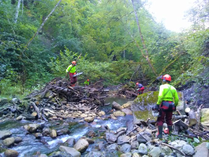 Avis de travaux aux propriétaires riverains des cours d’eau : Beaufortain